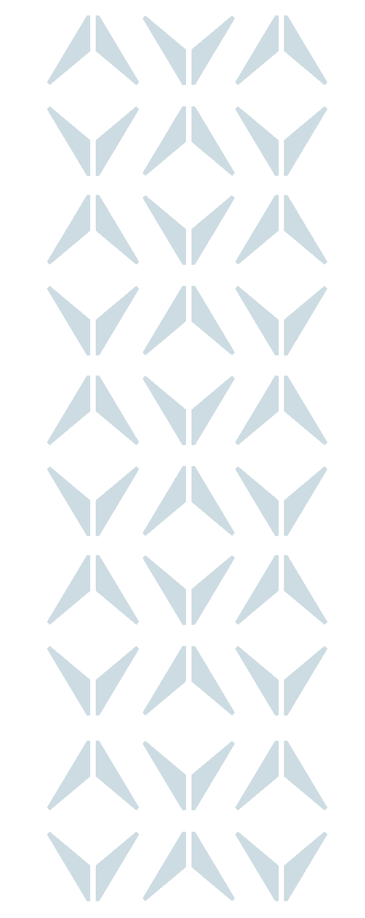 CMAP Page_Pattern Column_2025_transparent
